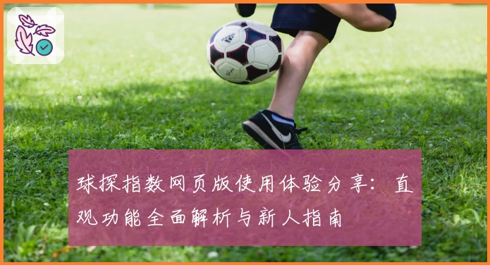 球探指数网页版使用体验分享：直观功能全面解析与新人指南