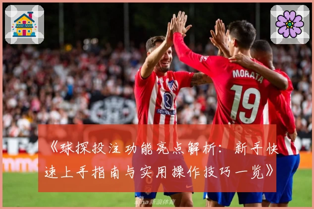 《球探投注功能亮点解析：新手快速上手指南与实用操作技巧一览》