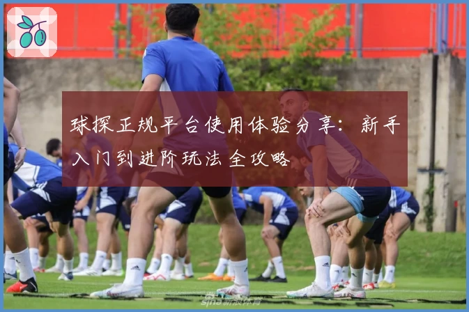 球探正规平台使用体验分享:新手入门到进阶玩法全攻略