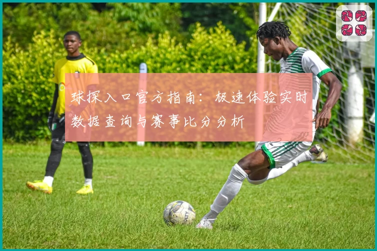球探入口官方指南：极速体验实时数据查询与赛事比分分析