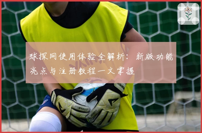 球探网使用体验全解析：新版功能亮点与注册教程一文掌握